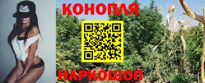 винт Нальчик