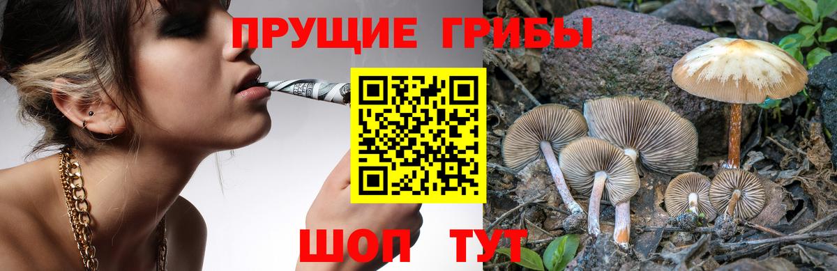 Псилоцибиновые грибы MAGIC MUSHROOMS Улан-Удэ