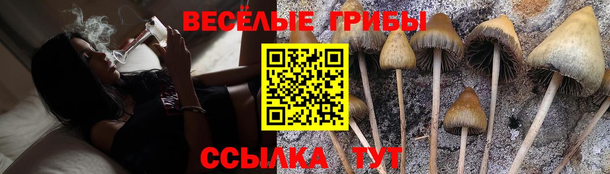Галлюциногенные грибы MAGIC MUSHROOMS  Вход с VPN  Улан-Удэ  Галлюциногенные грибы Psilocybine cubensis 